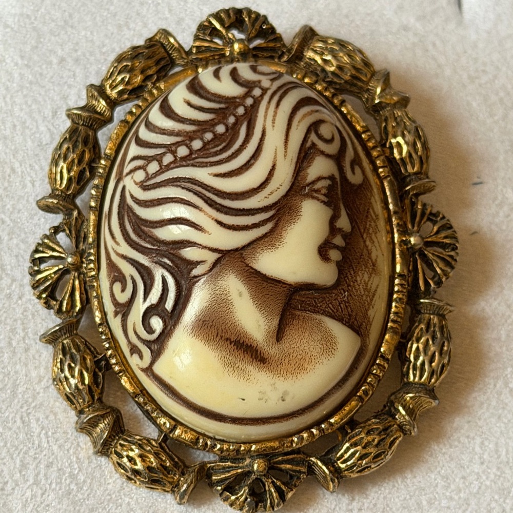 Vintage 3-D Cameo Brooch with Gold Frame